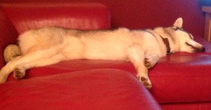 No more helicopter, please