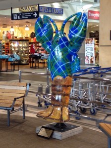 Lobster on Nova Scotia