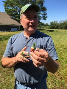 Jeff LaFleur from Mayflower Cranberries, Ocean Spray Owner Grower